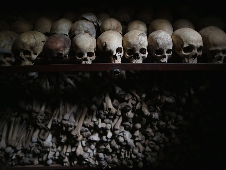France was ‘blind’ to Rwanda genocide, French report says