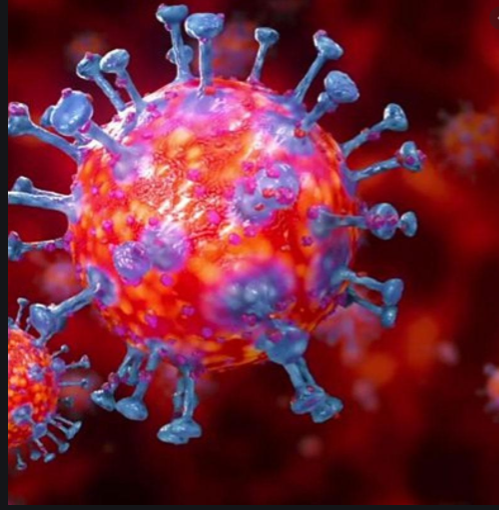 Coronavirus: ‘Double mutant’ Covid variant found in India