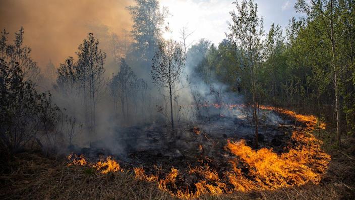 “Zombie fires” are real, and poised to worsen with global warming