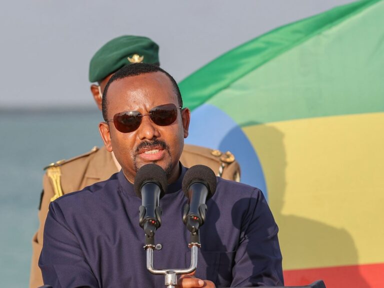 Ethiopia’s Tigray conflict: PM Abiy Ahmed vows to lead from the war front