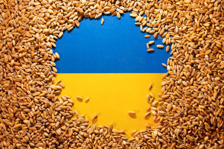 The implications of Russia’s grain blockade.