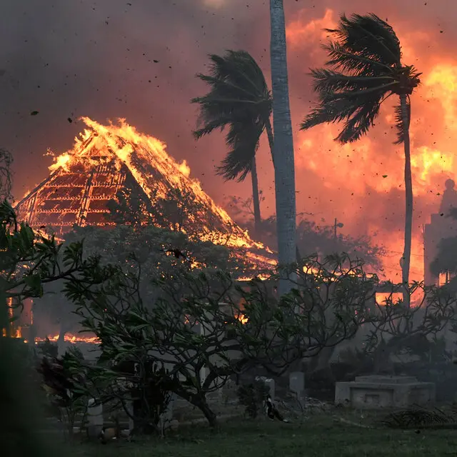 Tragedy Strikes as Wildfires Ravage Hawaiian Paradise